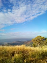 Countryside landscape against cloudy sky