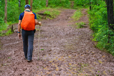 Hiking tourists wearing backpacks outdoors trekking in forest.