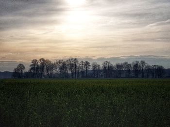 Scenic view of field against sky during sunset