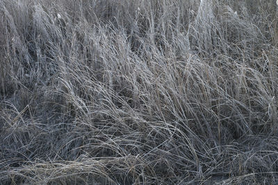 Full frame shot of snow on land