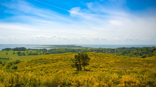 Scenic view of field against sky