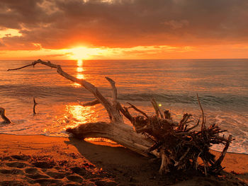 Scenic view of sunset over sea