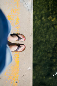 Low section of woman wearing shoes