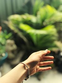 Close-up of woman hand