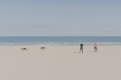 People walking on beach against clear sky