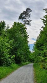 Road amidst trees against sky