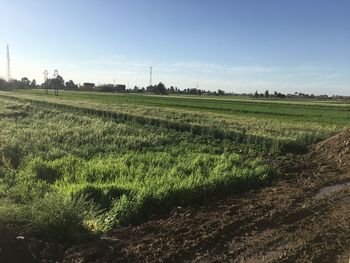 Scenic view of field against sky