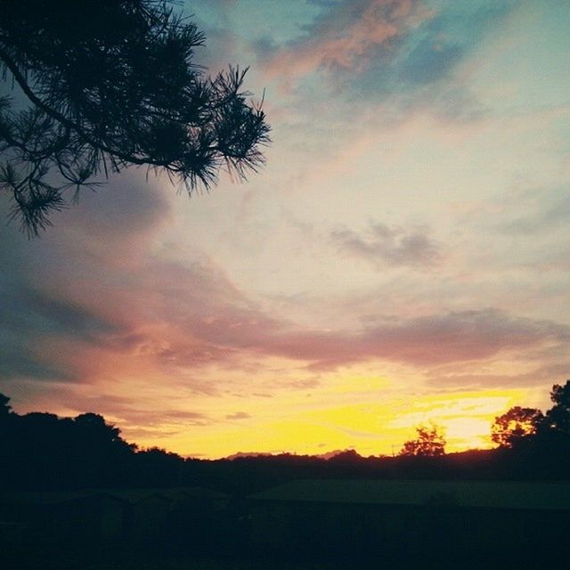 sunset, silhouette, sky, tranquil scene, tranquility, beauty in nature, scenics, tree, orange color, landscape, cloud - sky, nature, idyllic, cloud, dramatic sky, field, outdoors, growth, no people, non-urban scene