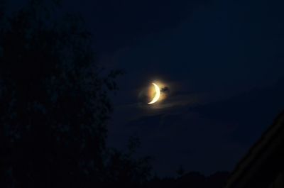 Low angle view of silhouette trees against sky at night