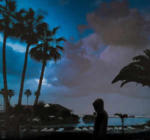 Silhouette palm trees on beach against sky