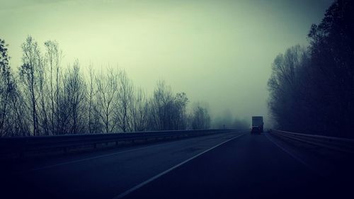 Empty road along trees