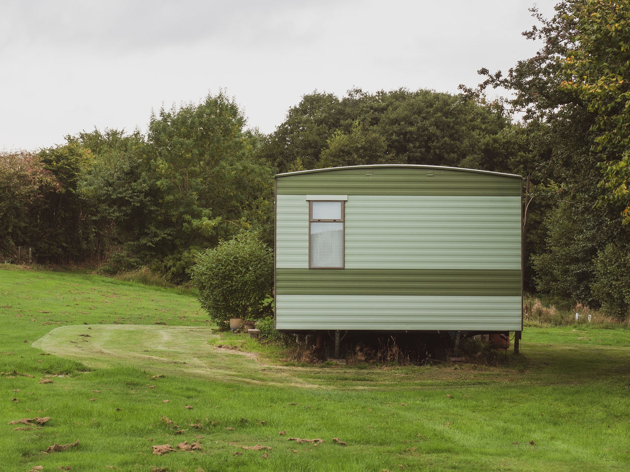 plant, tree, grass, nature, green, sky, shed, rural area, land, architecture, no people, landscape, house, field, built structure, day, outdoors, rural scene, building, home, wood, agriculture, cloud, building exterior, environment, growth