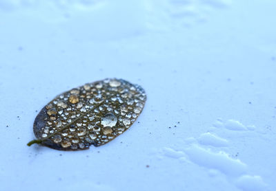 Full frame shot of raindrops on glass