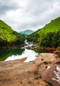 Mountain gap with river flowing and green forests