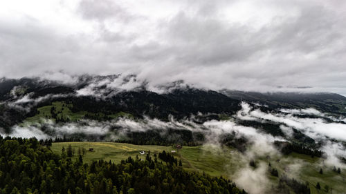 environment