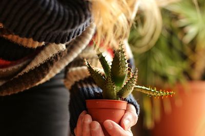 Close-up of hand holding potted plant