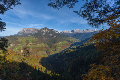 Autumn panorama of val di tires visible through an opening in the trees with the catinaccio peaks 