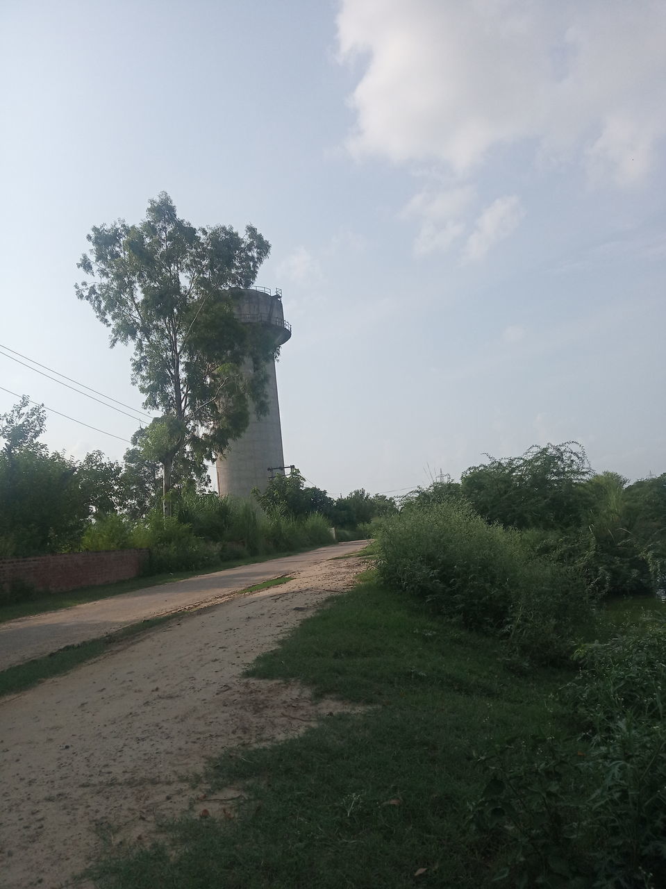 ROAD AMIDST TREES AGAINST SKY