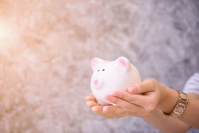 Cropped hands of woman holding piggy bank against wall