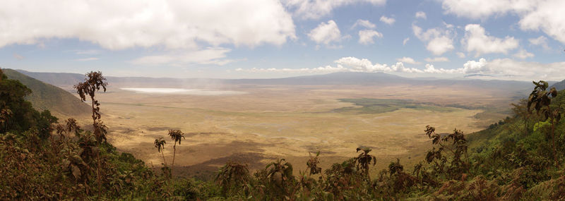 Panoramic view of field against sky