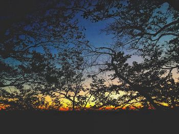 Low angle view of silhouette trees against sky during sunset