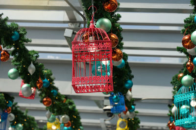 Cage lighting decoration in christmas celebration 