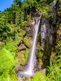 Scenic view of waterfall in forest