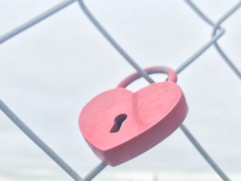 Close-up of love padlocks hanging on chainlink fence