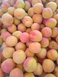 Full frame shot of oranges at market stall