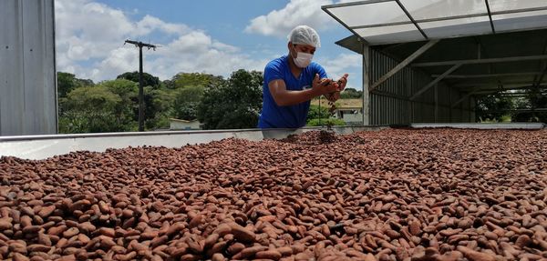 Man working in farm