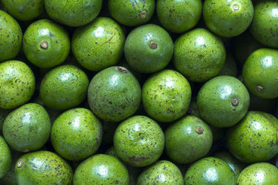 Full frame shot of mangoes at market for sale