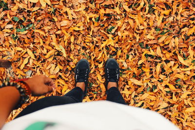 Low section of person standing on dry leaves at field during autumn