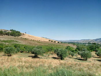 Scenic view of landscape against clear blue sky