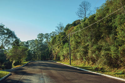 Empty paved street with high-voltage power poles among lush trees near gramado, brazil.