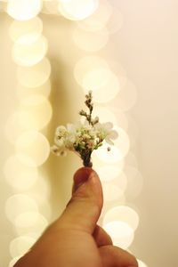 Close-up of hand holding flower against defocused lights