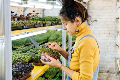 Young female farmer growing microgreens on indoor vertical garden. woman looking after plants. 