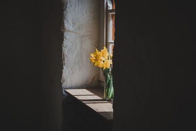 Close-up of yellow flower in vase