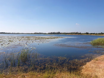 Scenic view of lake against clear sky