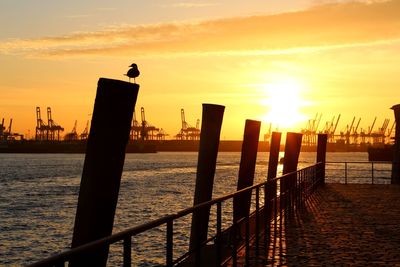 Silhouette pier over sea against sky during sunset