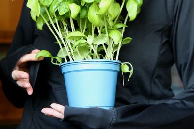 Midsection of woman holding basil 