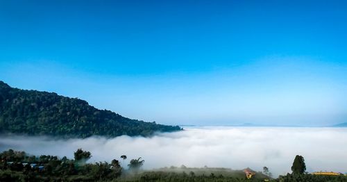 Scenic view of landscape against blue sky