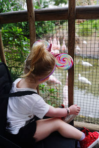 Cute girl sitting by chainlink fence at zoo