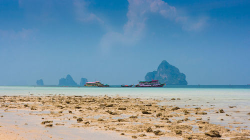 Panoramic view of beach against sky