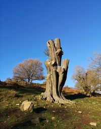 Dead tree on field against clear sky