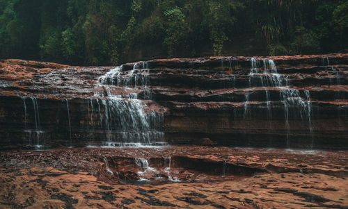 Water splashing on rocks against trees in forest