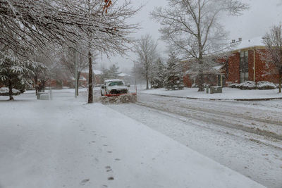 Snow covered road by trees in city