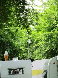 Trees by plants on field in forest