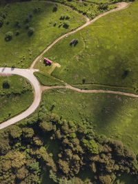 High angle view of car on road amidst trees