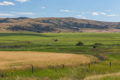 Scenic view of farm against sky