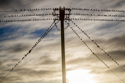 Low angle view of silhouette electricity pylon against sky during sunset